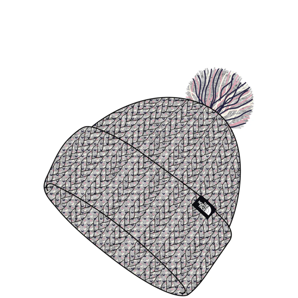 Lined Cozy Chunky Beanie (NF0A7WJZ) Kids 2024