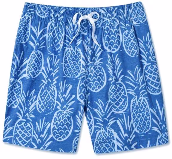 Chubbies-Stretch 7
