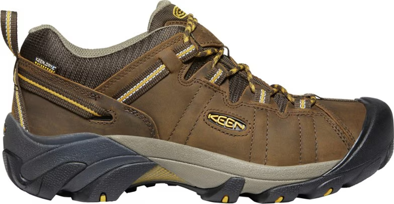 Targhee II Waterproof Hiking Shoes - Men's
