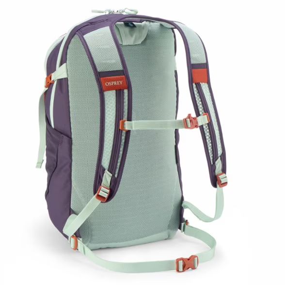 Daylite Plus Pack Special Edition