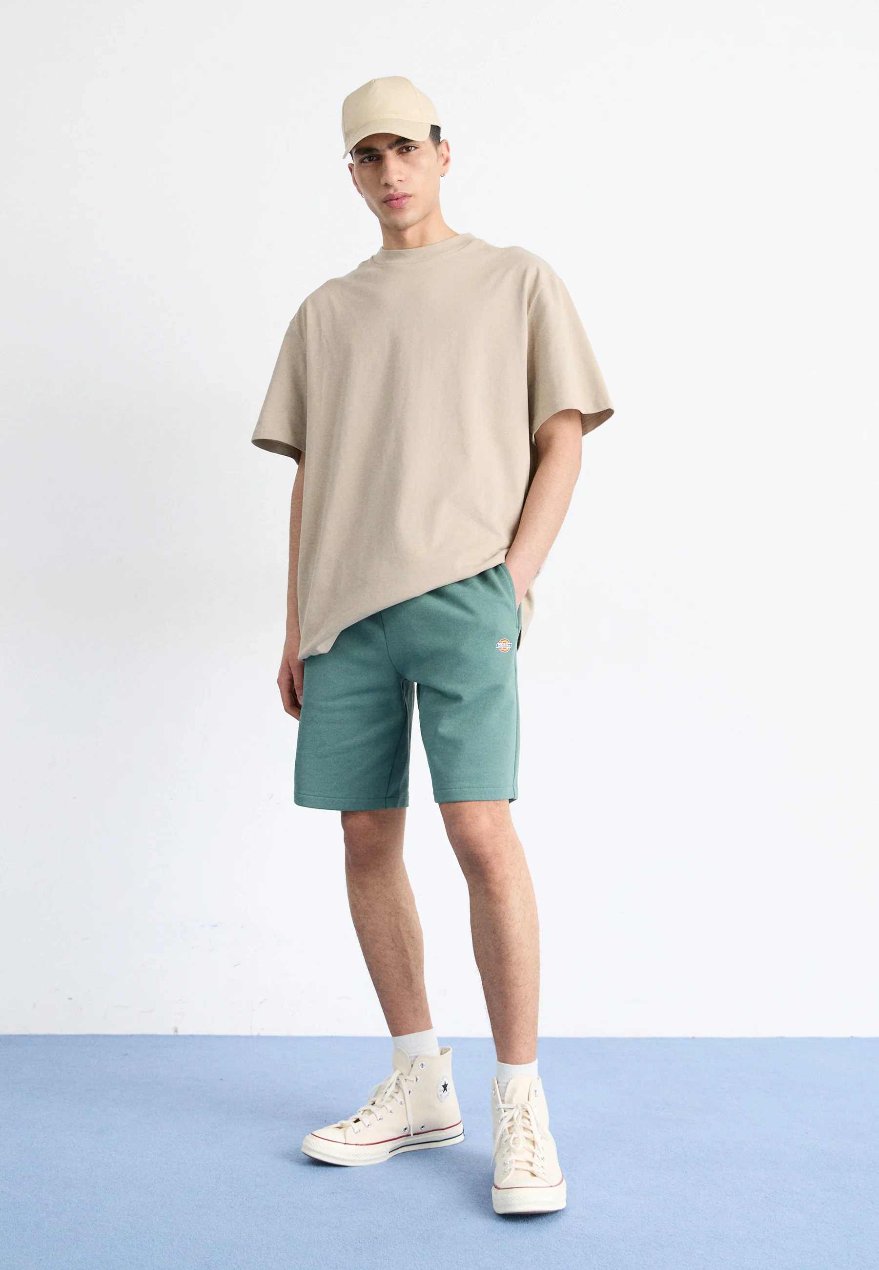 Dickies MAPLETON - Shorts