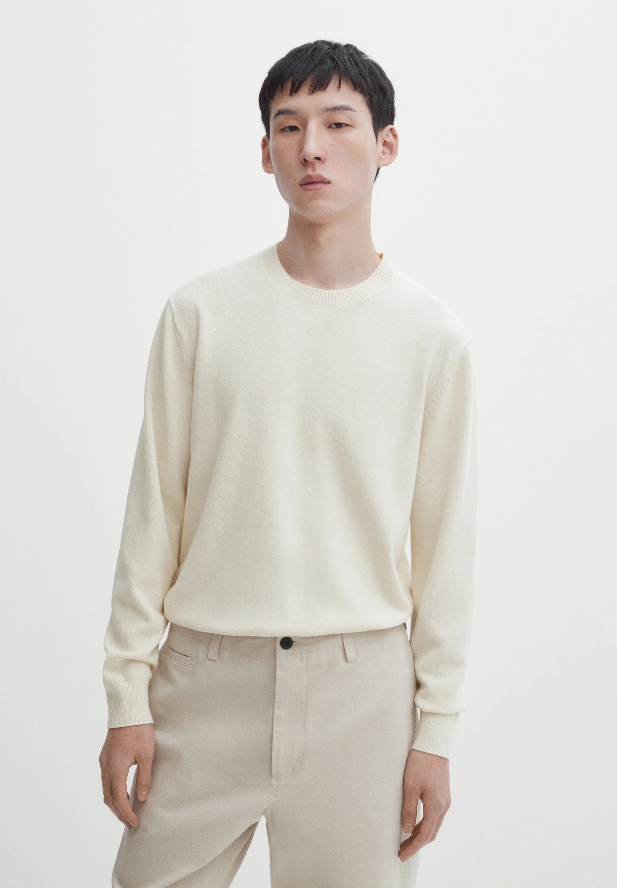 Massimo Dutti WITH CREW NECK - Maglione
