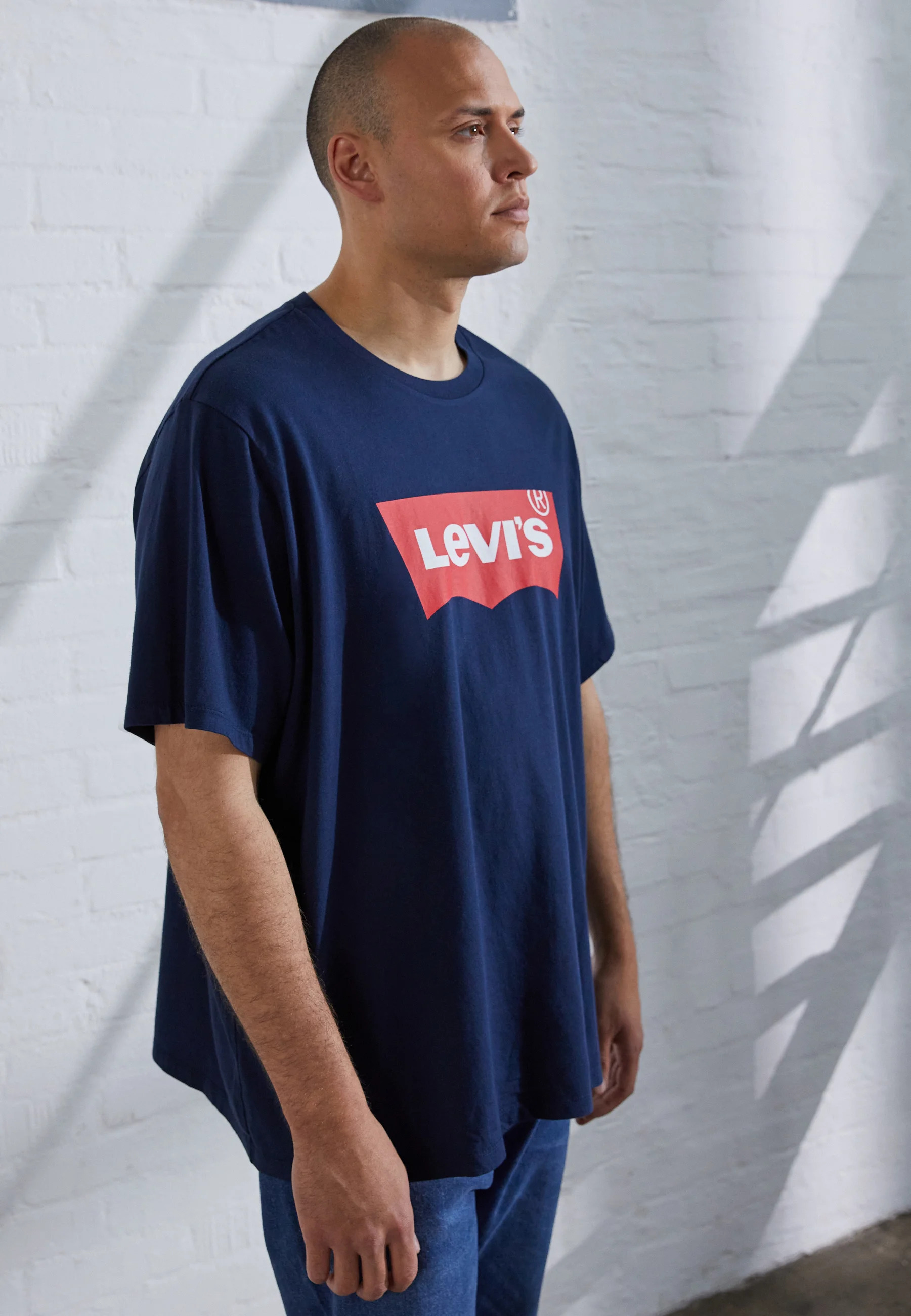 Plus GRAPHIC TEE - T-shirt con stampa