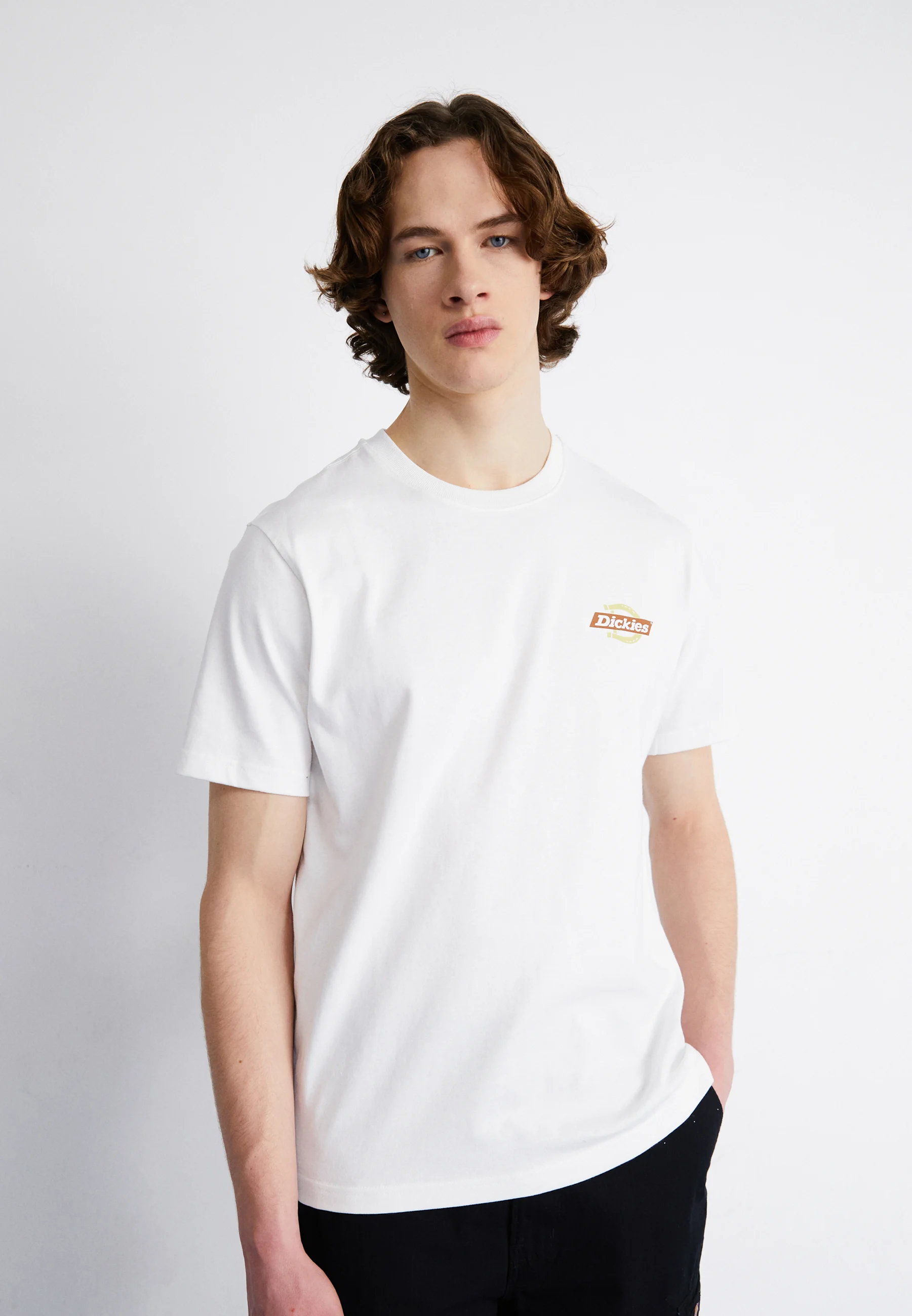 Dickies RUSTON TEE - T-shirt con stampa