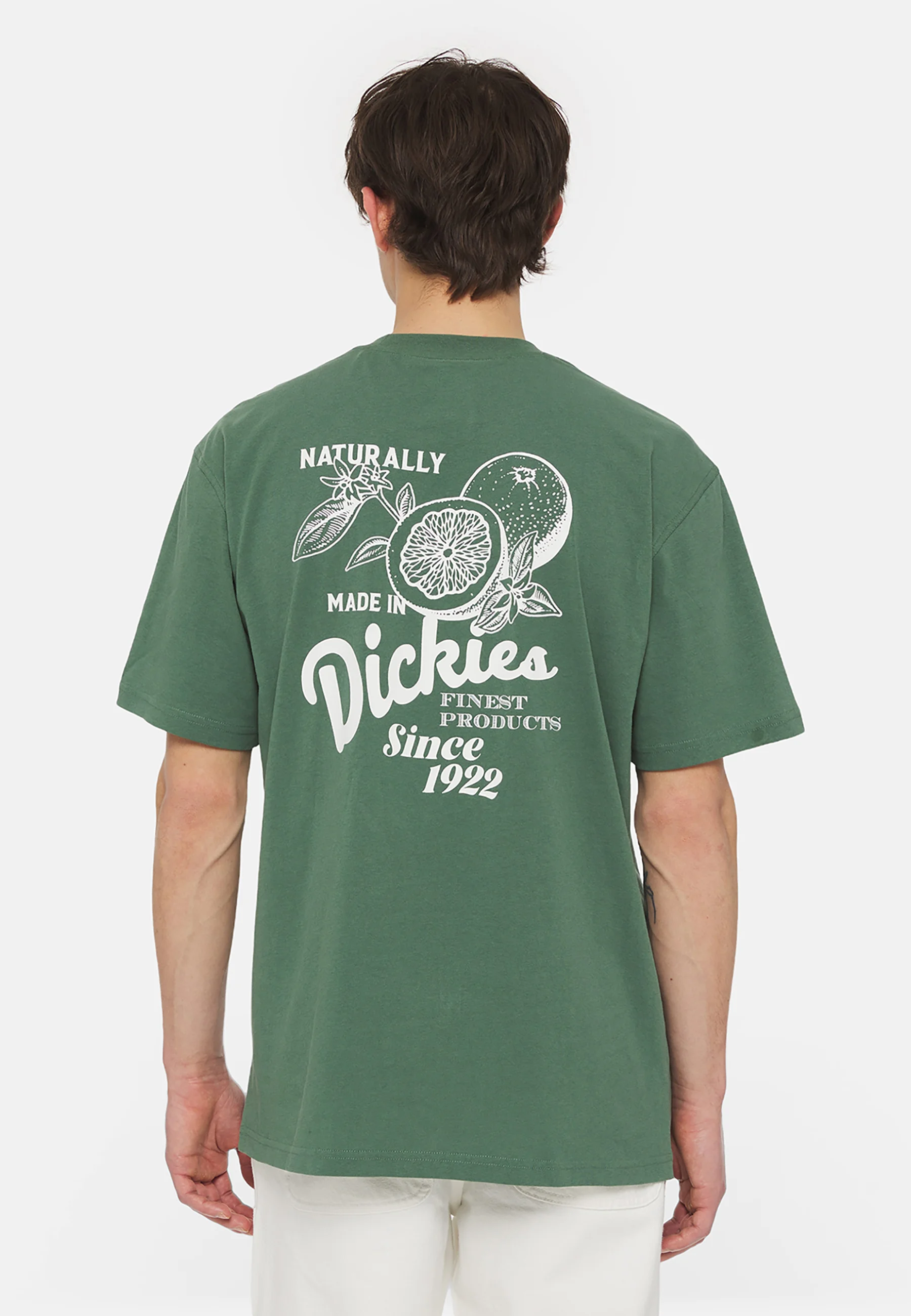 Dickies RAVEN TEE - T-shirt con stampa