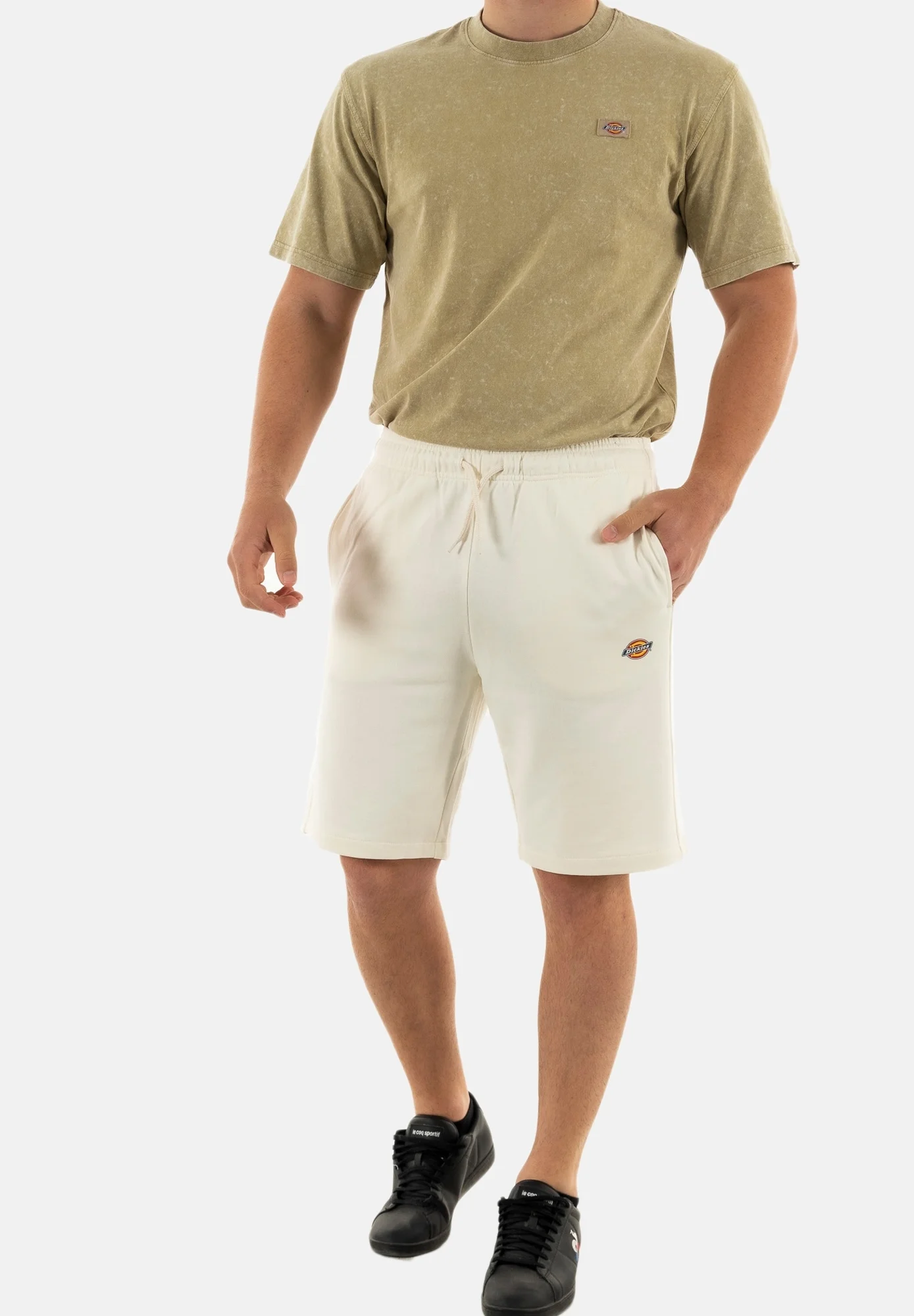 Dickies Pantaloni sportivi