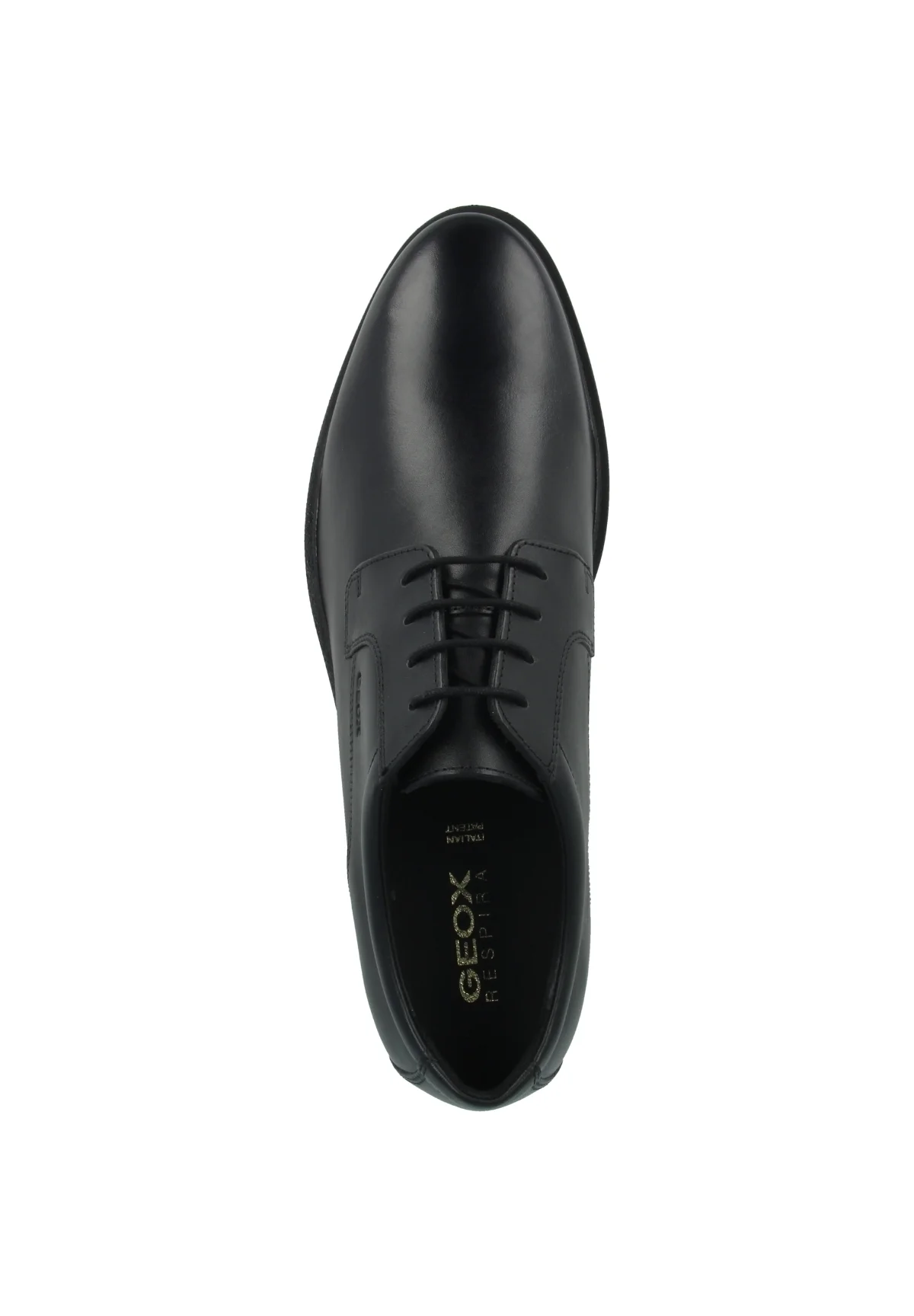 Geox GLADWIN - Stringate eleganti