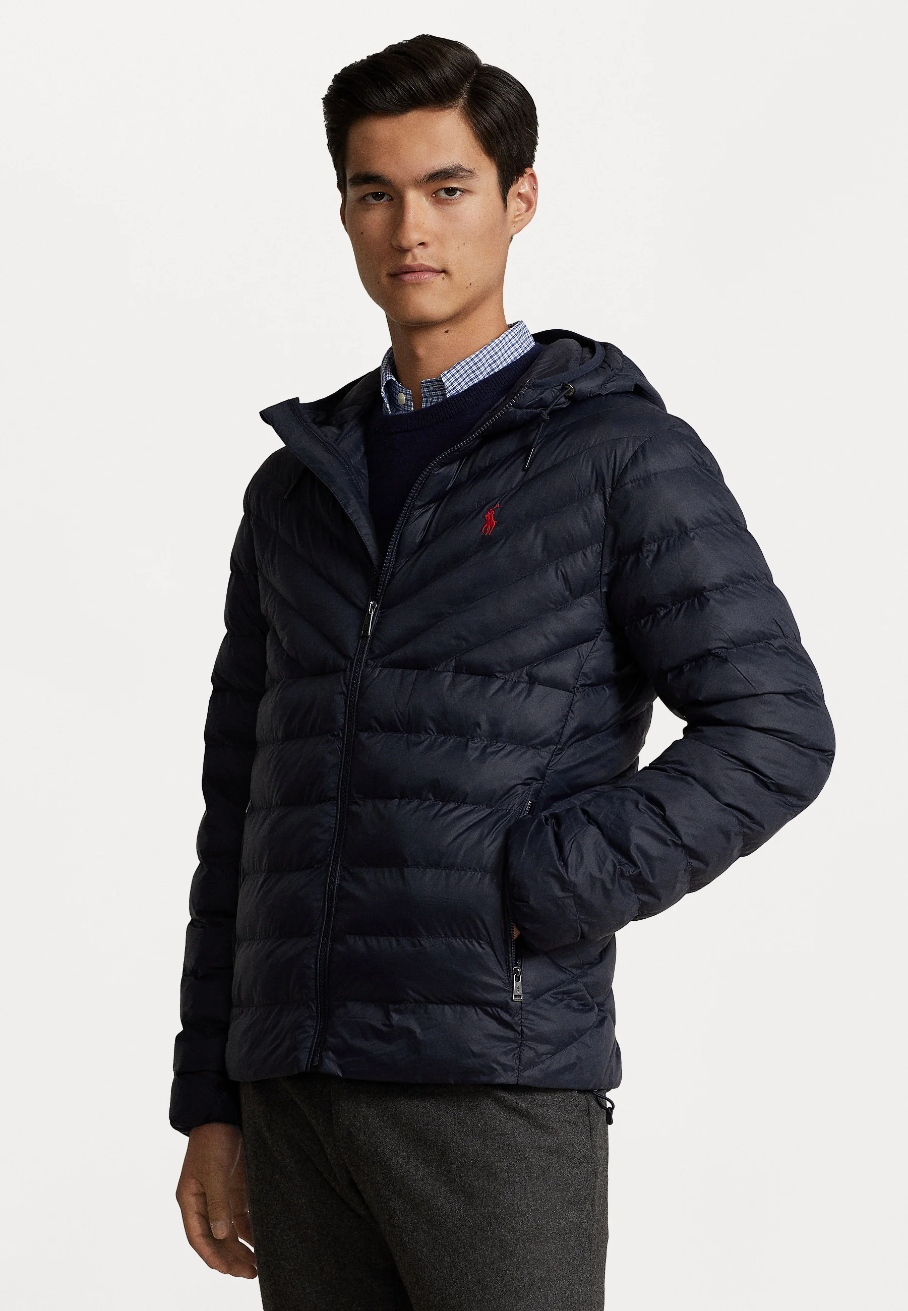 TERRA CHEVRON INSULATED - Giacca da mezza stagione