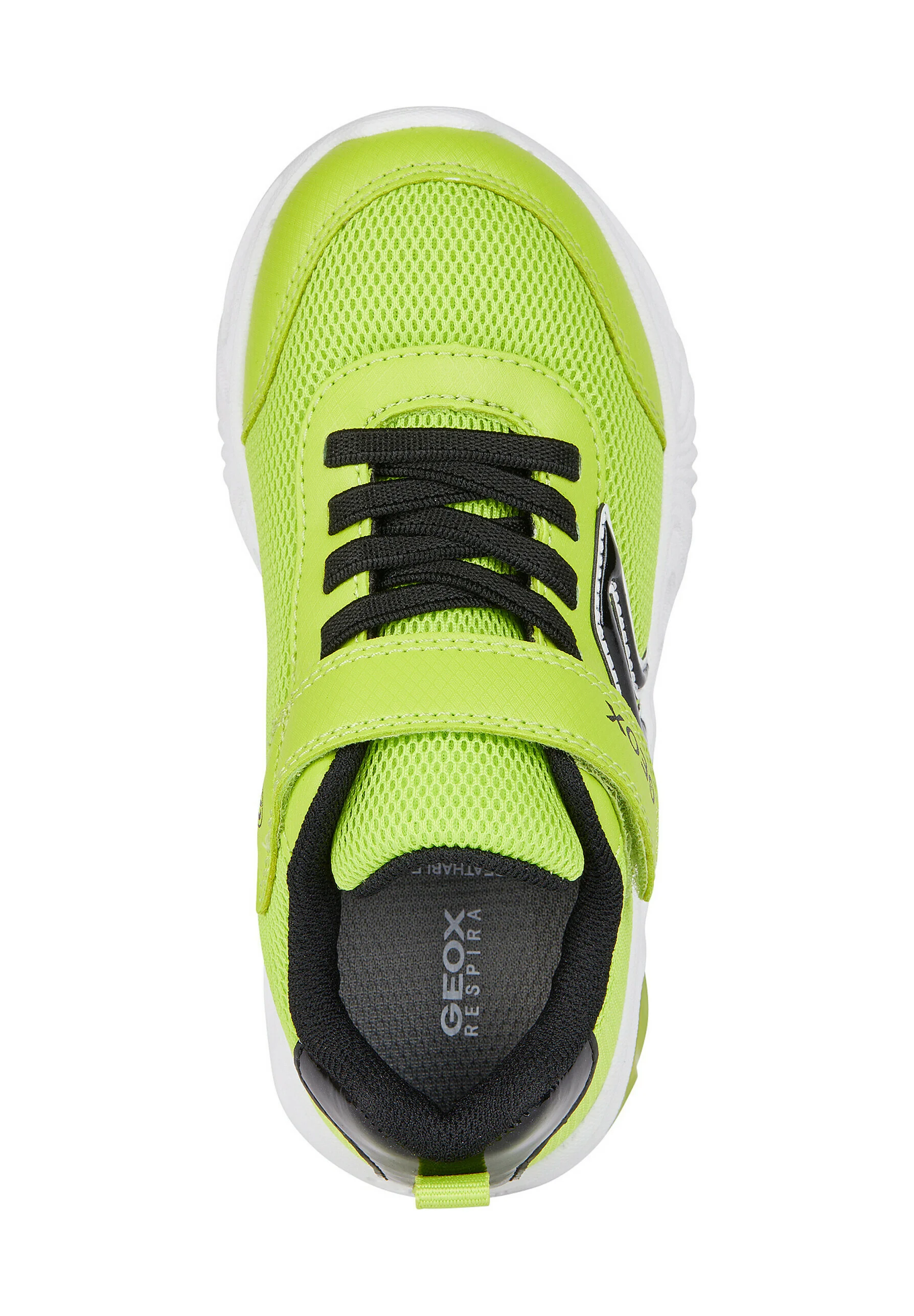 Geox ASSISTER - Sneakers basse