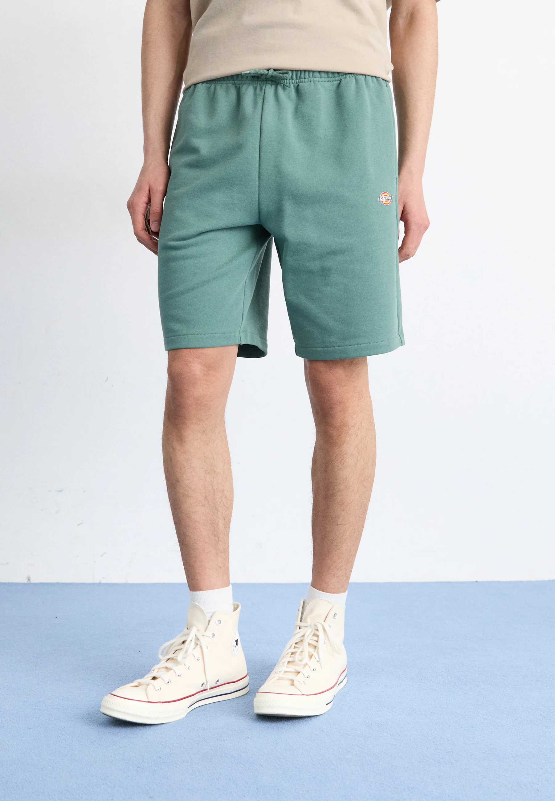 Dickies MAPLETON - Shorts