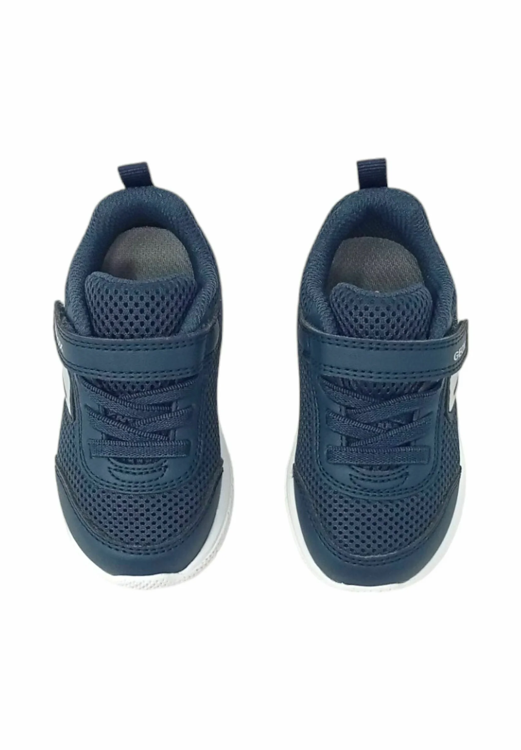 Geox Sneakers basse