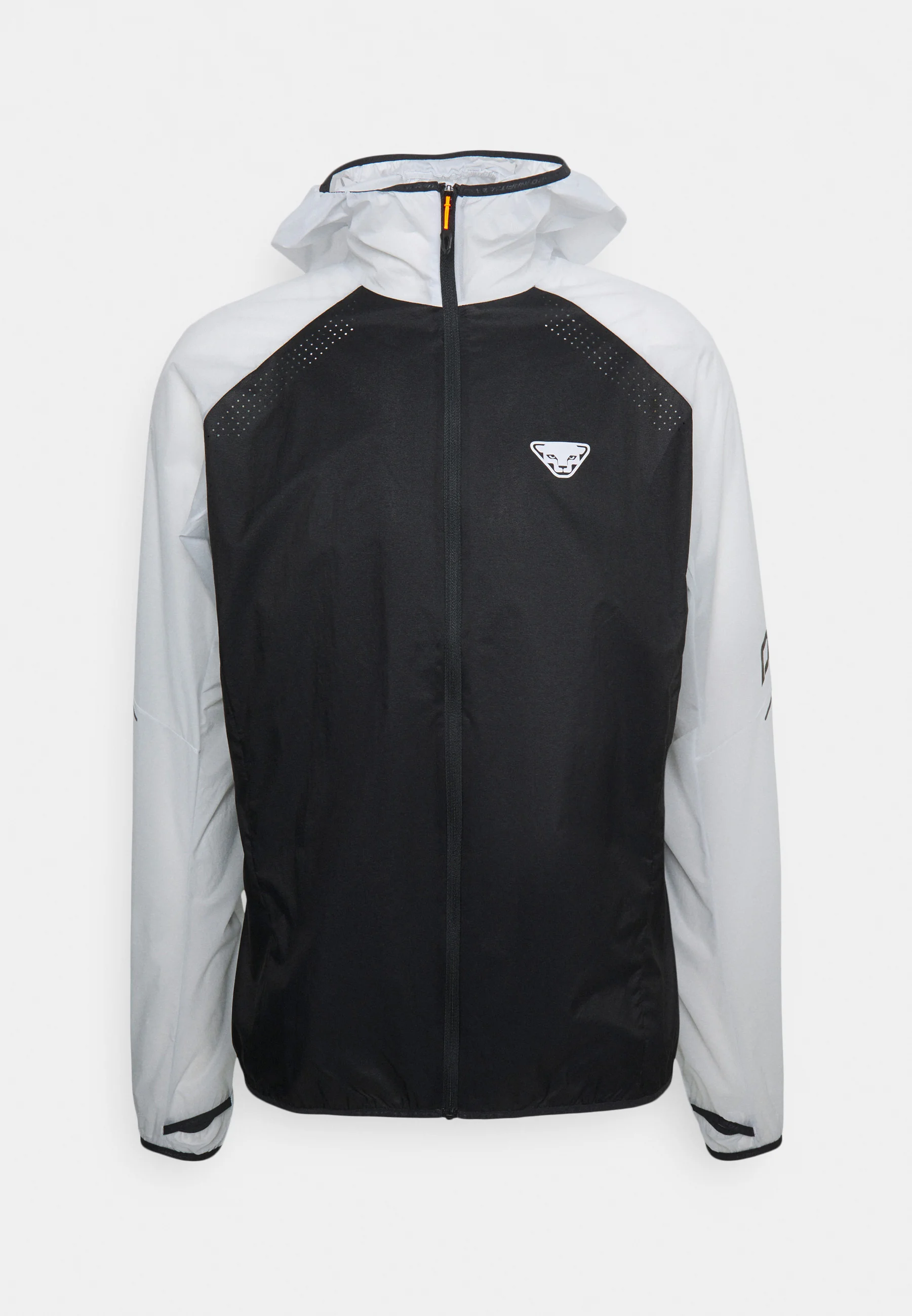Dynafit ALPINE WIND- Giacca softshell