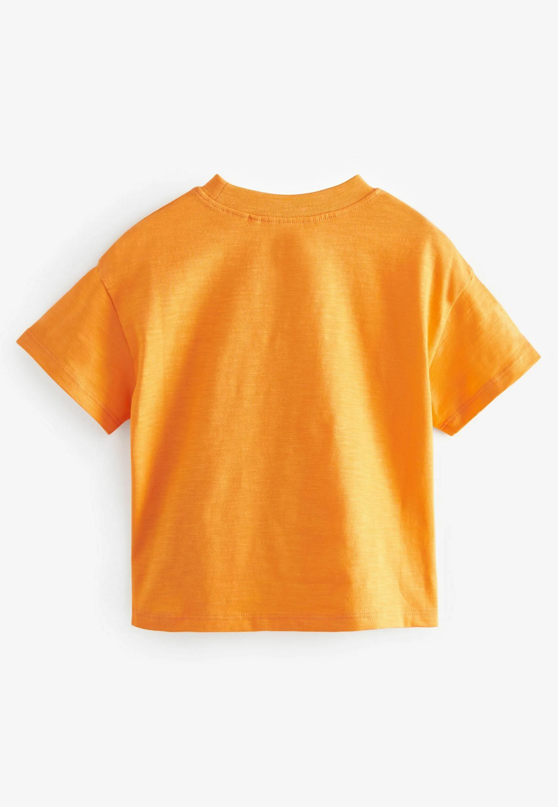 Next SHORT SLEEVEREGULAR FIT - T-shirt con stampa