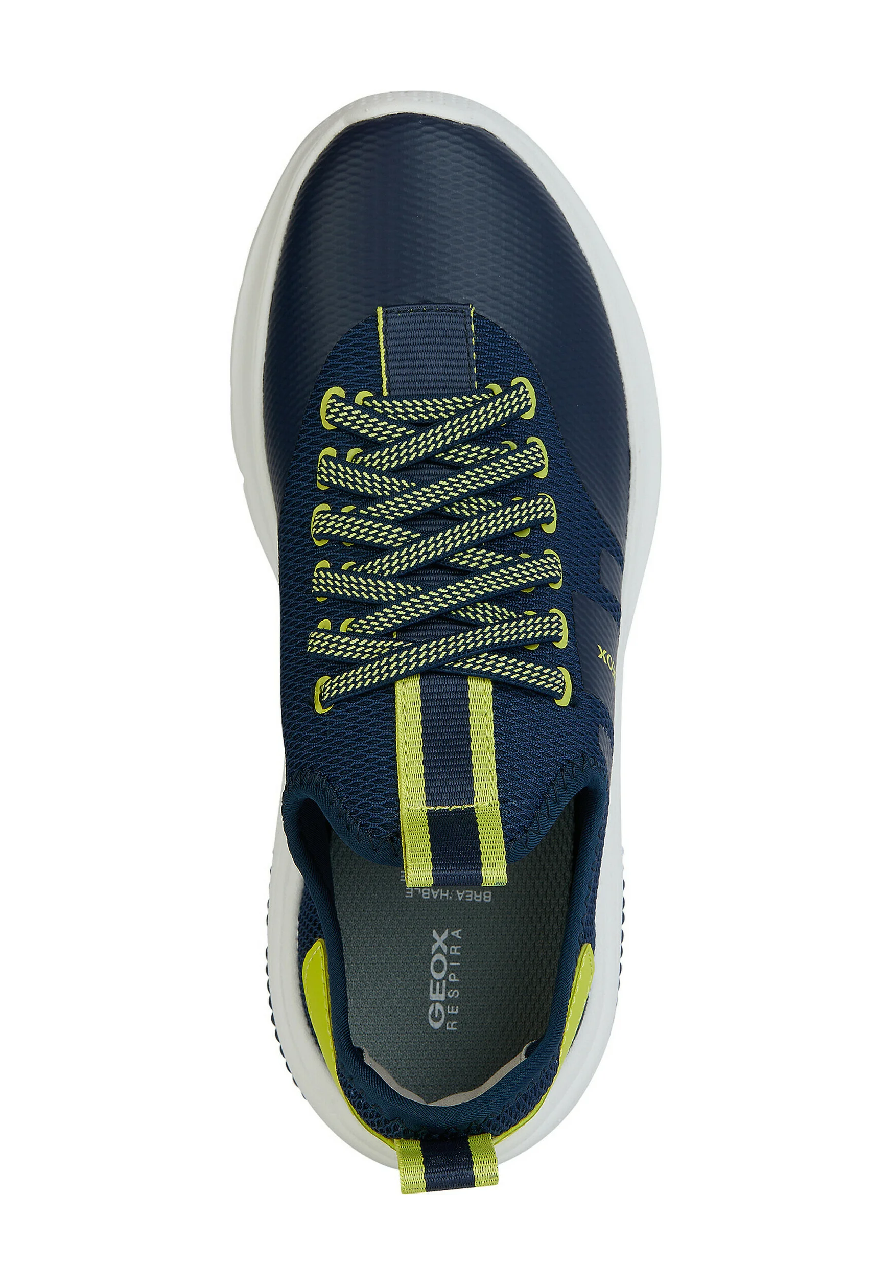 Geox ACTIVART - Sneakers basse