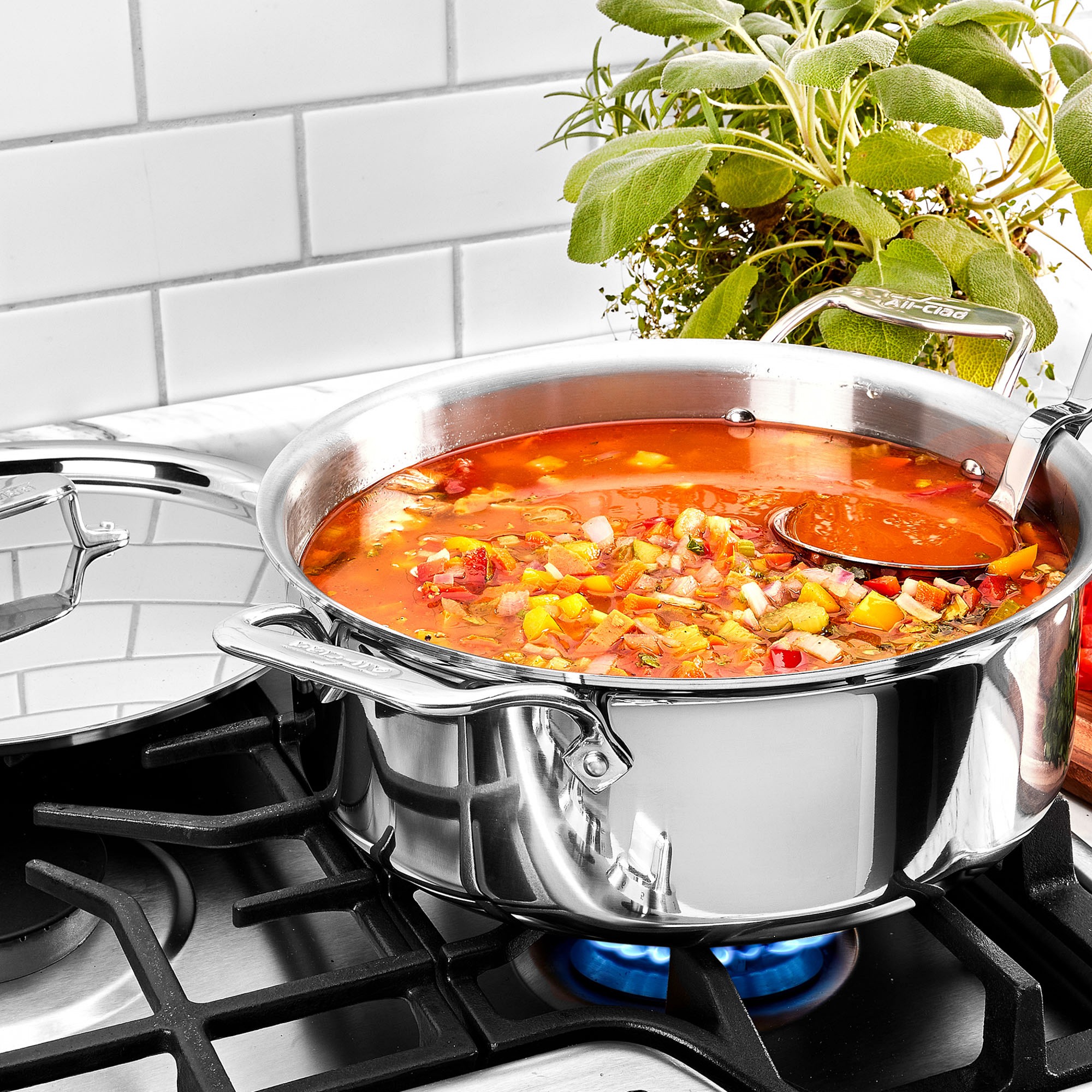 All-Clad D5® Stainless-Steel Ultimate Soup Pot with Ladle, 6-Qt.
