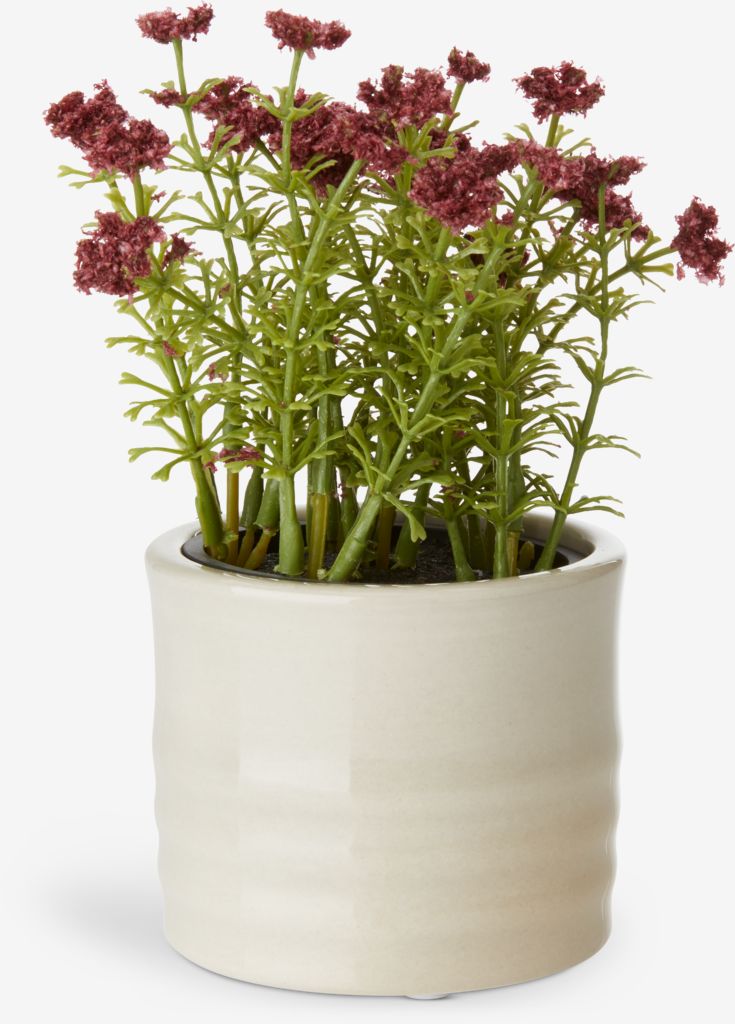 Plant pot TIM D9xH7cm assorted
