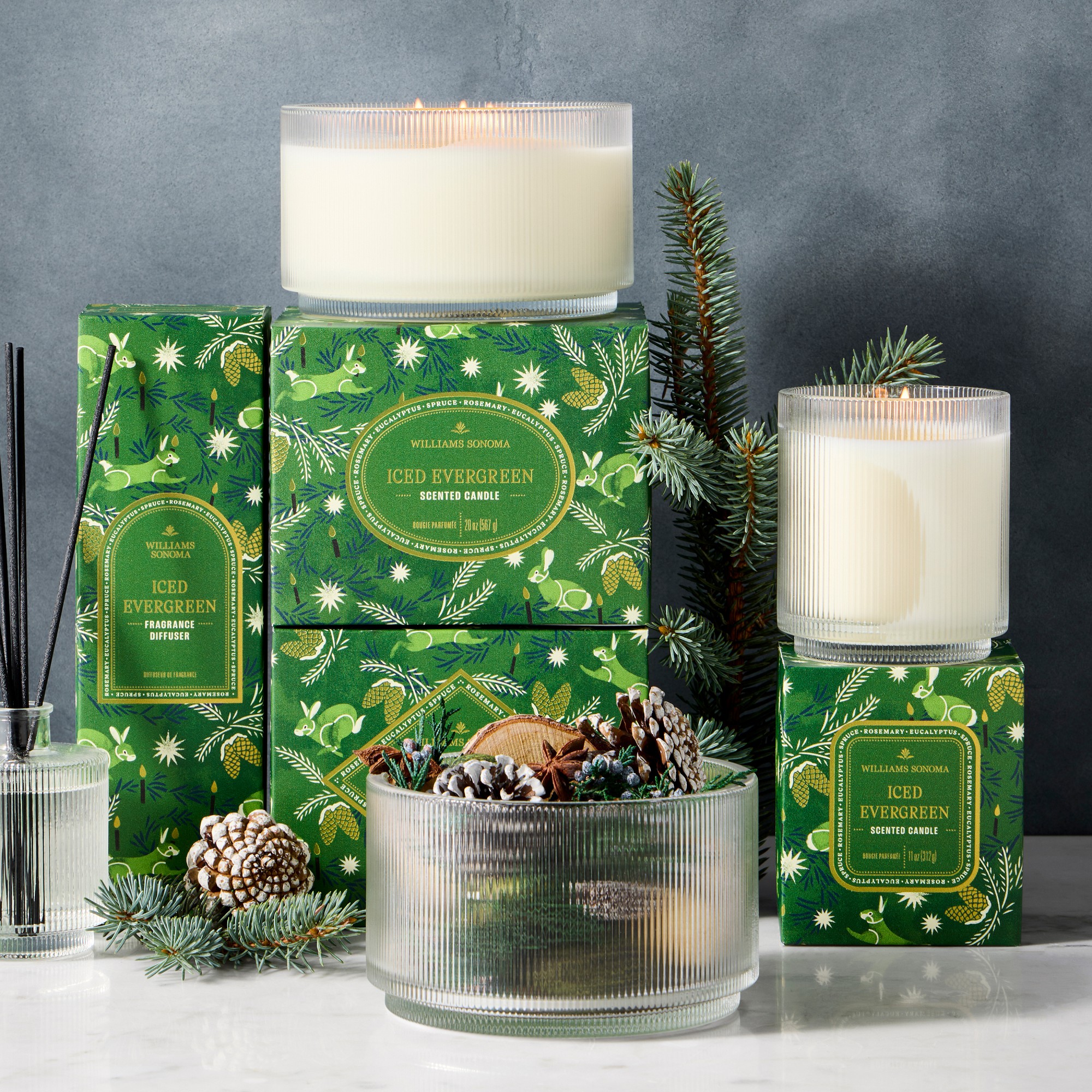 Williams Sonoma Seasonal Home Scents Iced Evergreen Potpourri