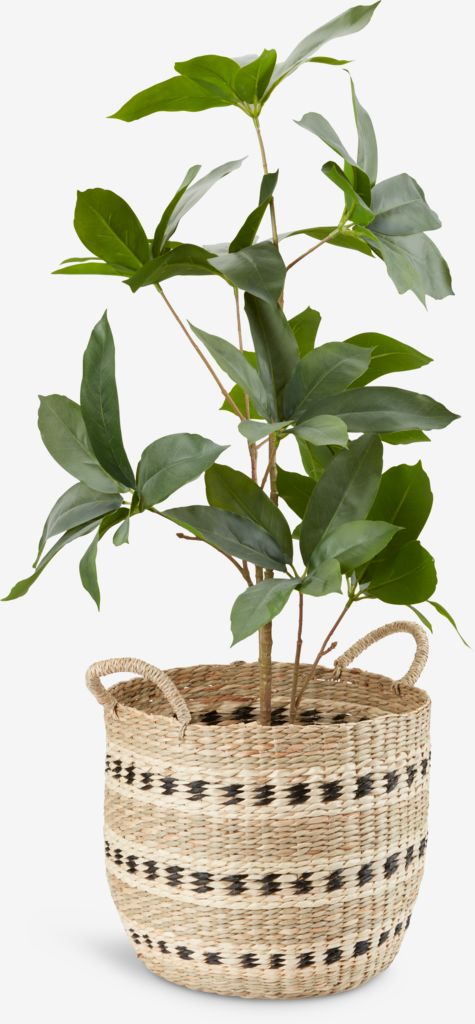 Basket VIGIL D32xH27cm seagrass