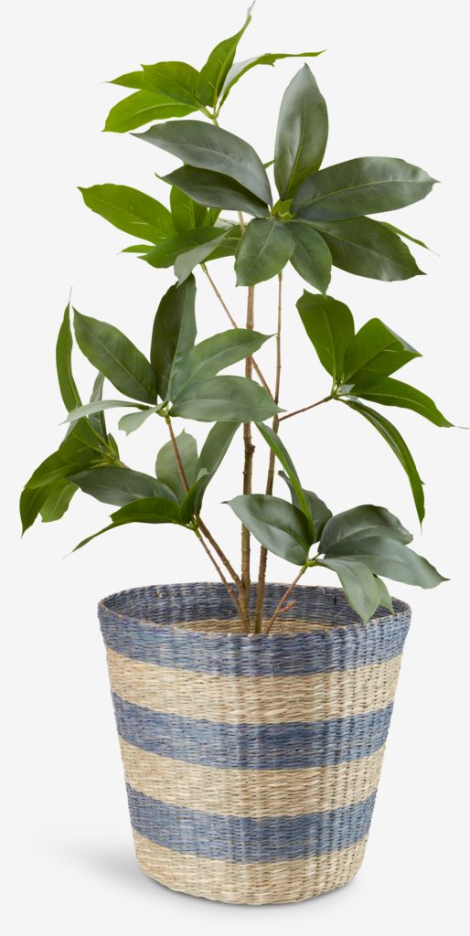 Basket VESTER D35xH30cm seagrass