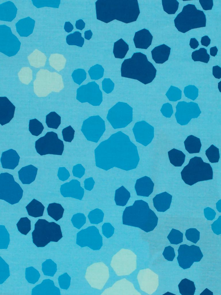 Junior duvet cover set PAW PATROL 100x140 blue