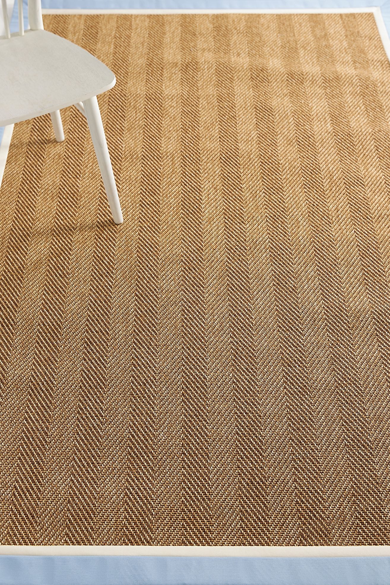 Flatwoven Double Border Performance Rug