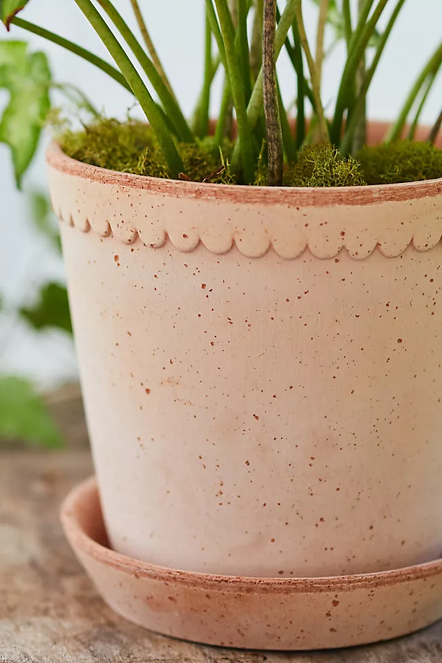 Bergs Helena Terracotta Pot + Saucer Set