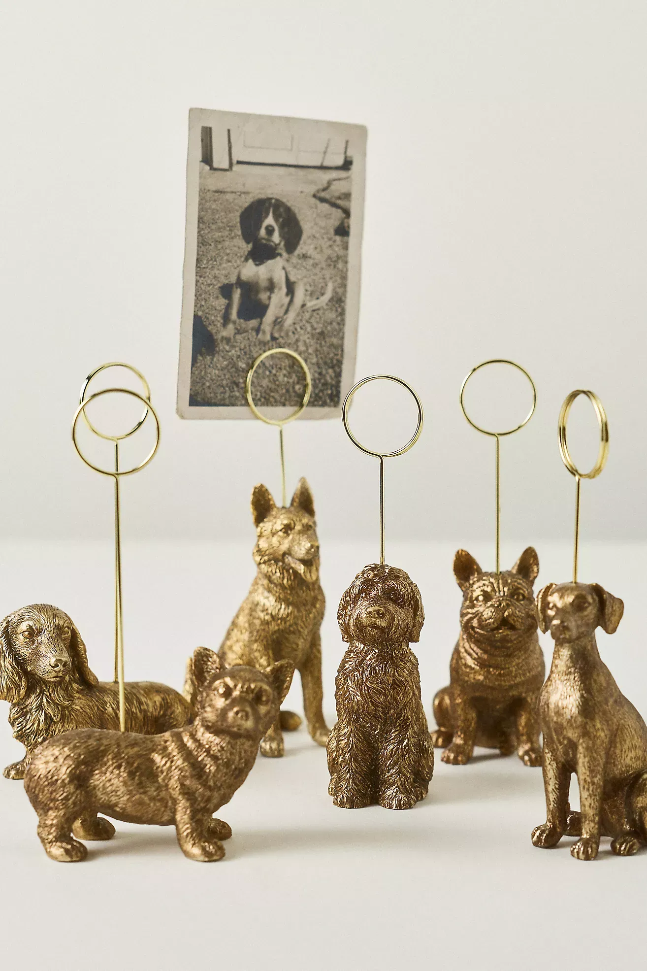 Animal Icon Photo Holder: Dog Edition