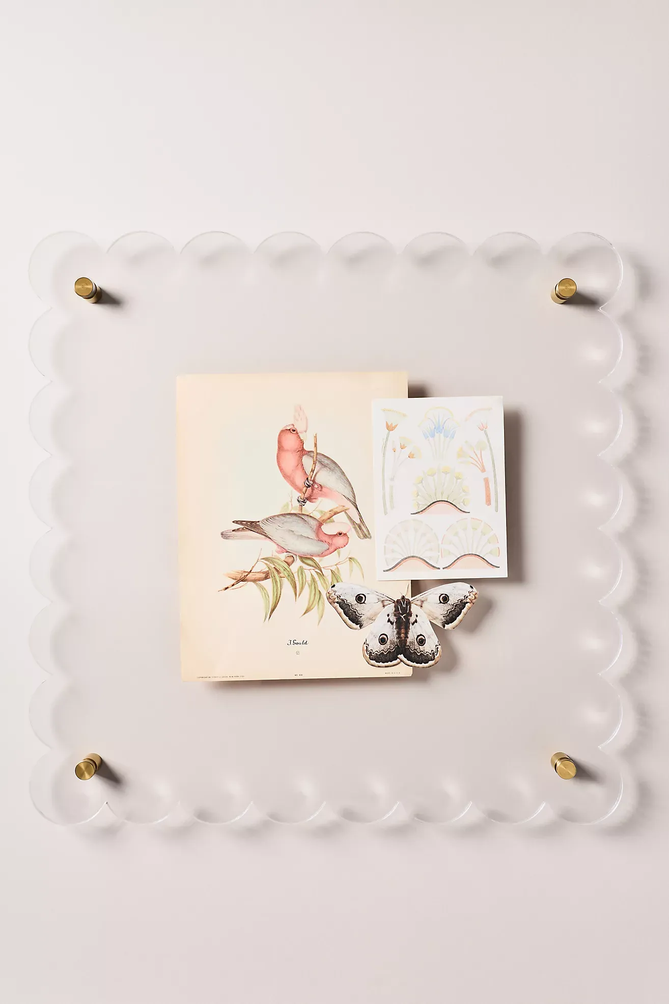 Tart by Taylor Scallop Acrylic Gallery Frame