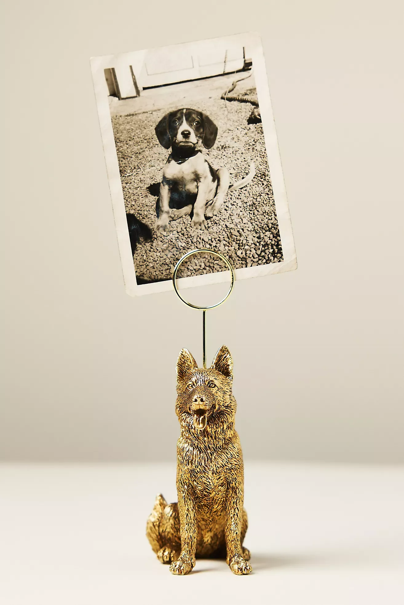 Animal Icon Photo Holder: Dog Edition