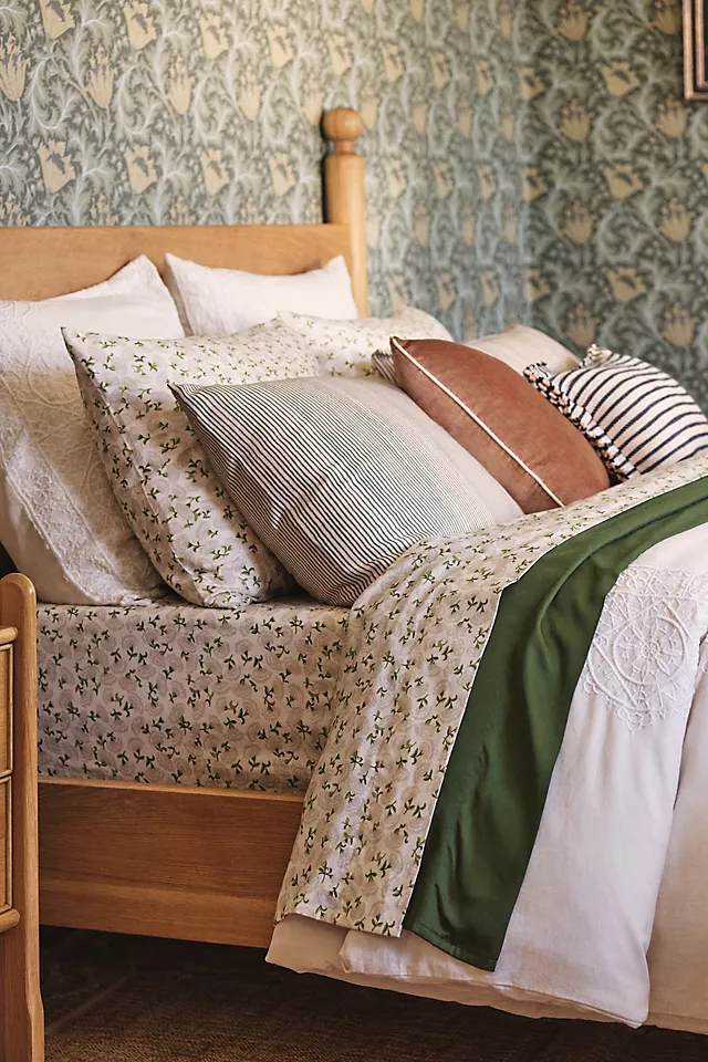 Cotton Modal Brushed Cozy Printed Sheet Set