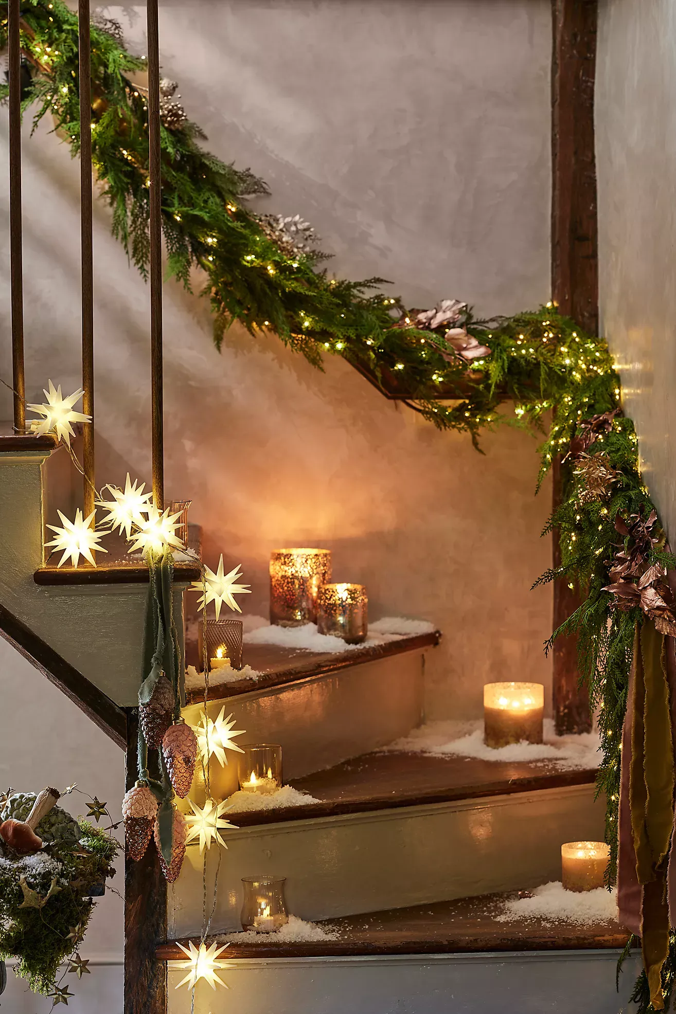 Stargazer Moravian Star String Lights