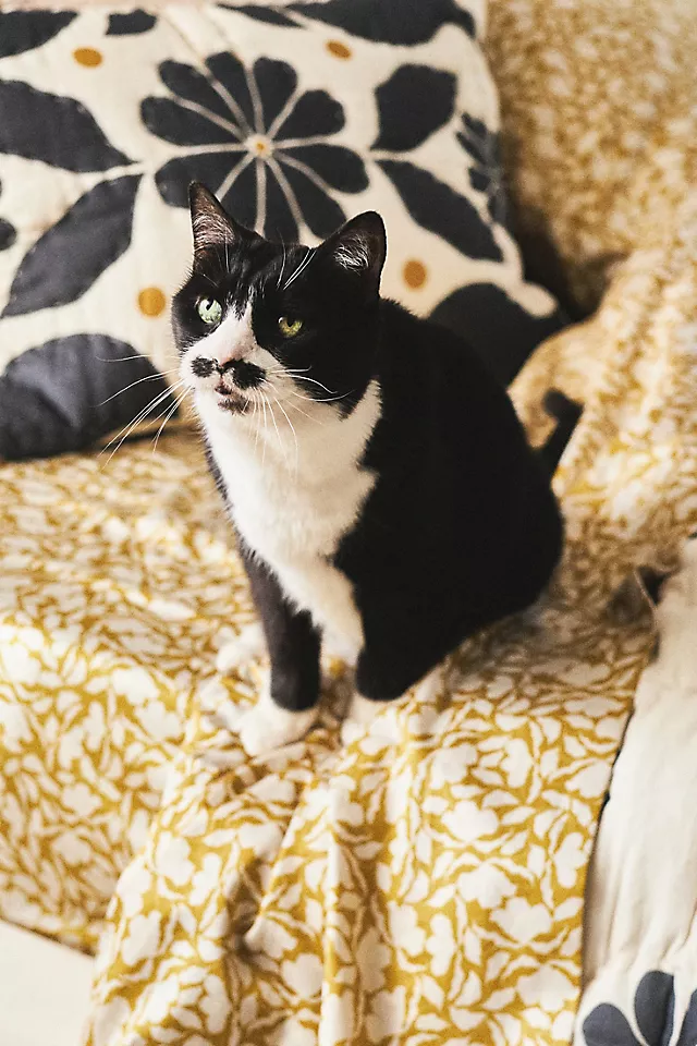 McKenzie Parrott Organic Cotton Sateen Floral Printed Sheet Set