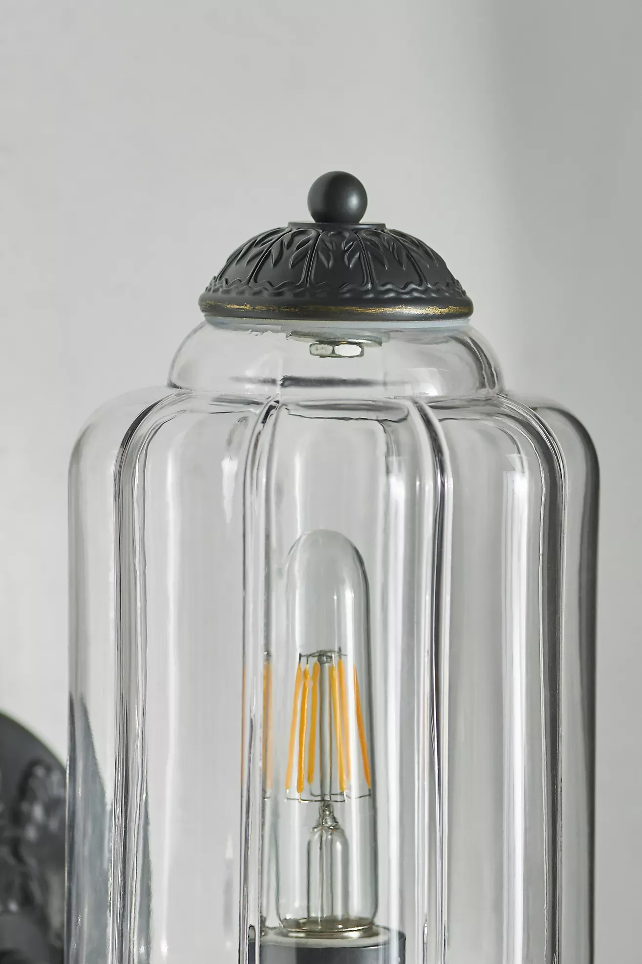 The Eloise Scallop Glass Indoor/Outdoor Sconce Wall Light