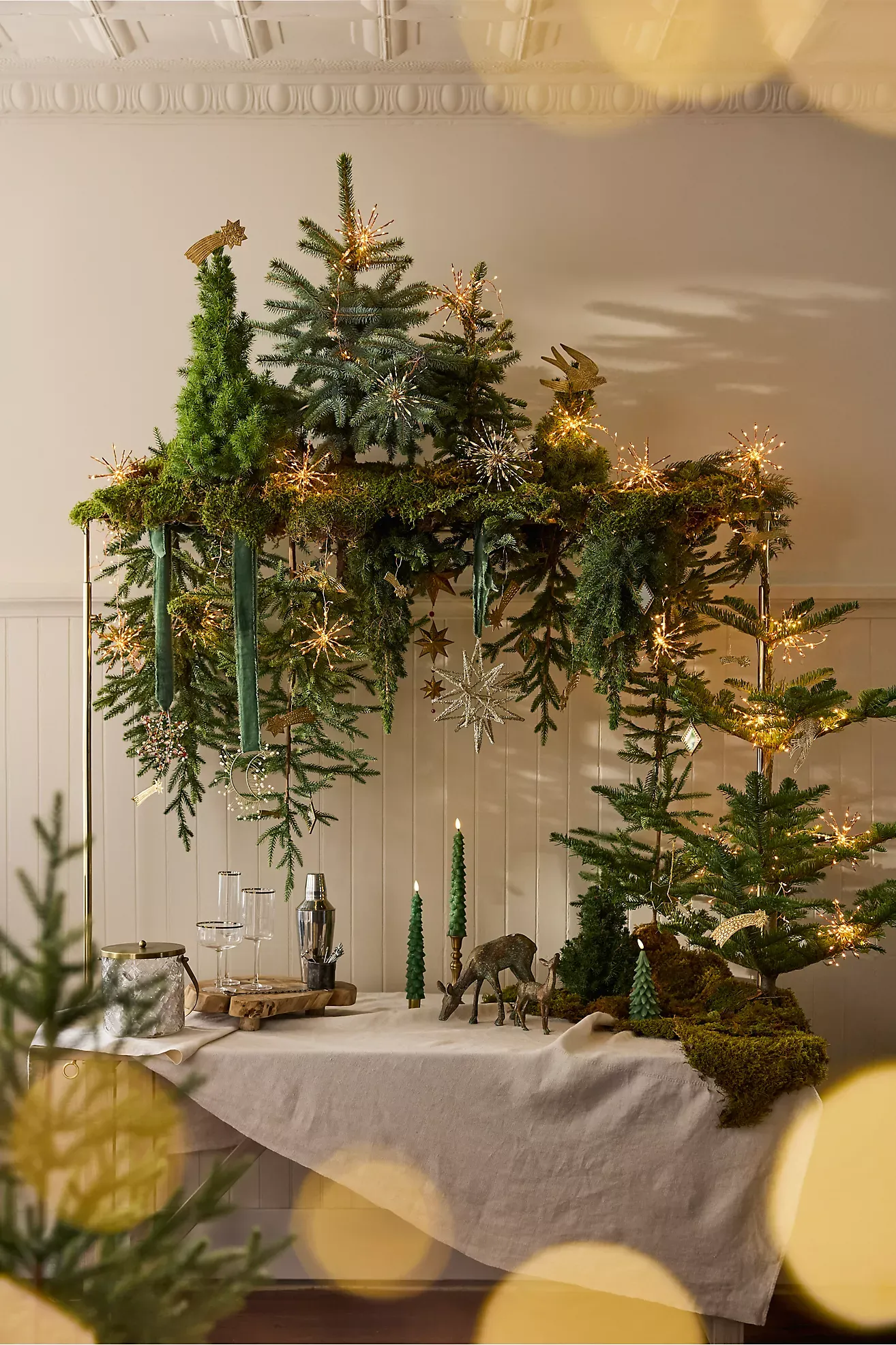 Stargazer Supernova Twinkling Light Garland