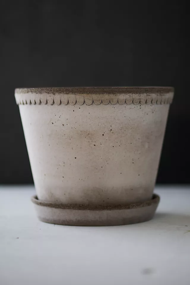 Bergs Helena Terracotta Pot + Saucer Set