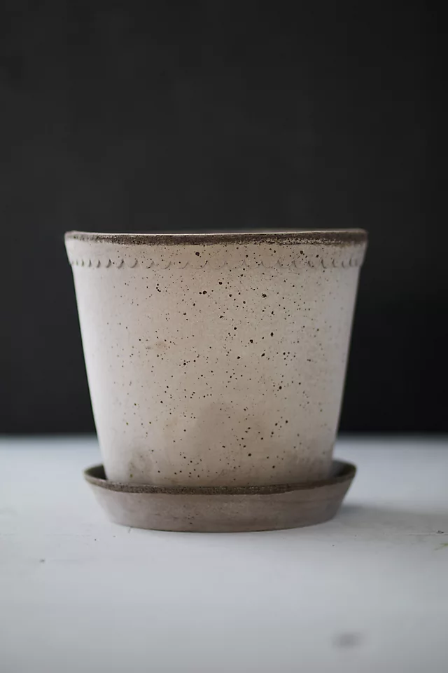 Bergs Helena Terracotta Pot + Saucer Set