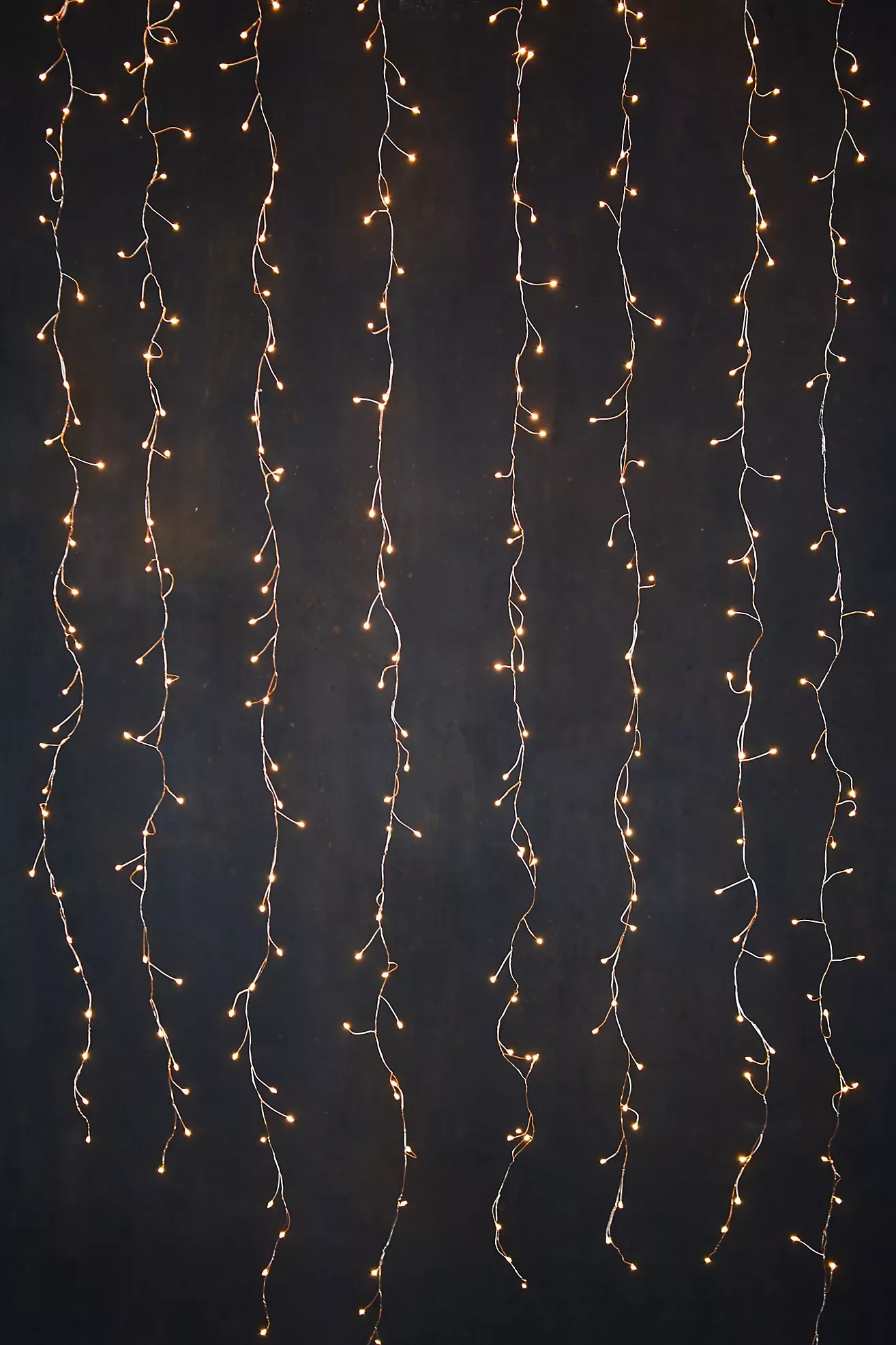 Stargazer Twinkling Copper Curtain