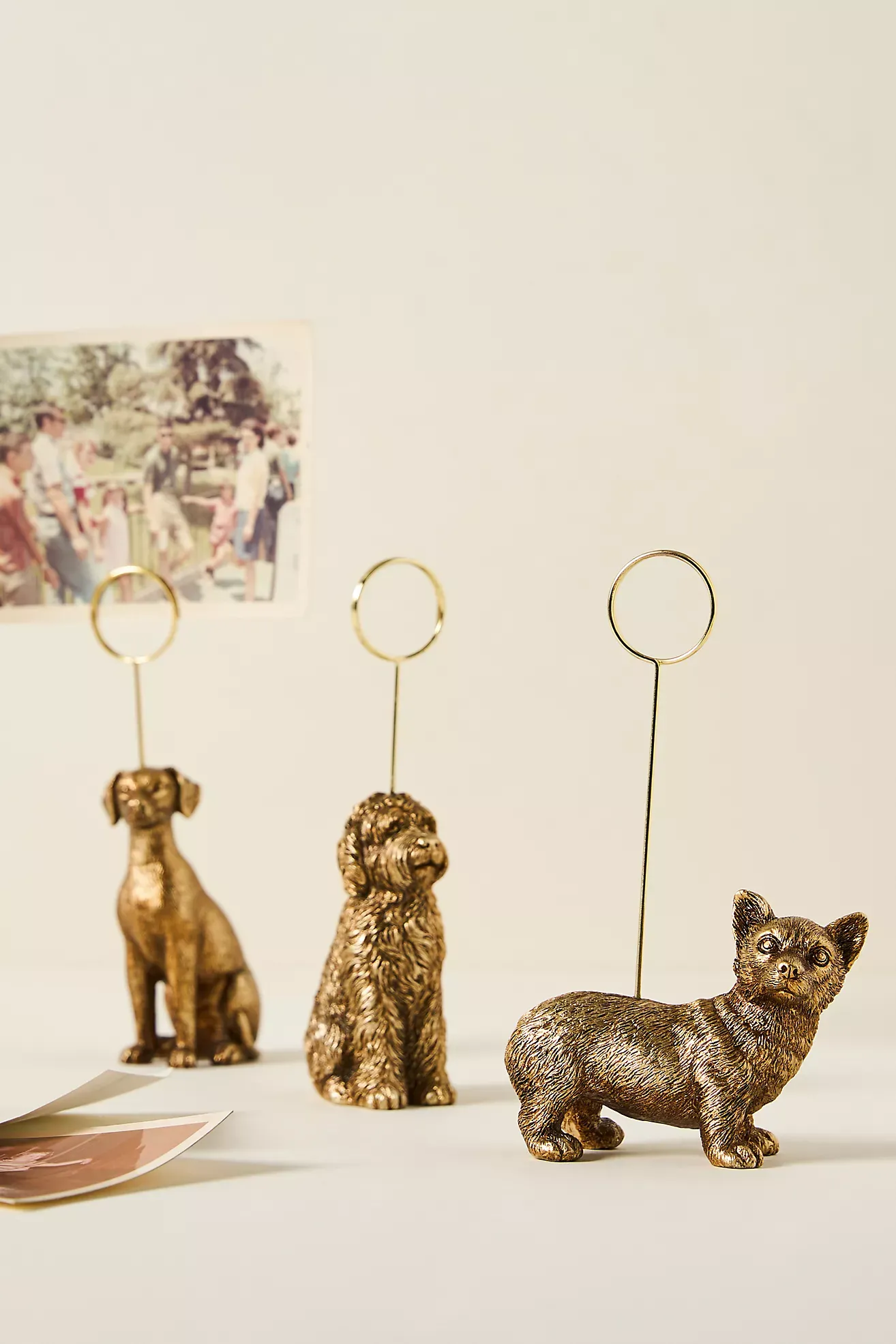 Animal Icon Photo Holder: Dog Edition