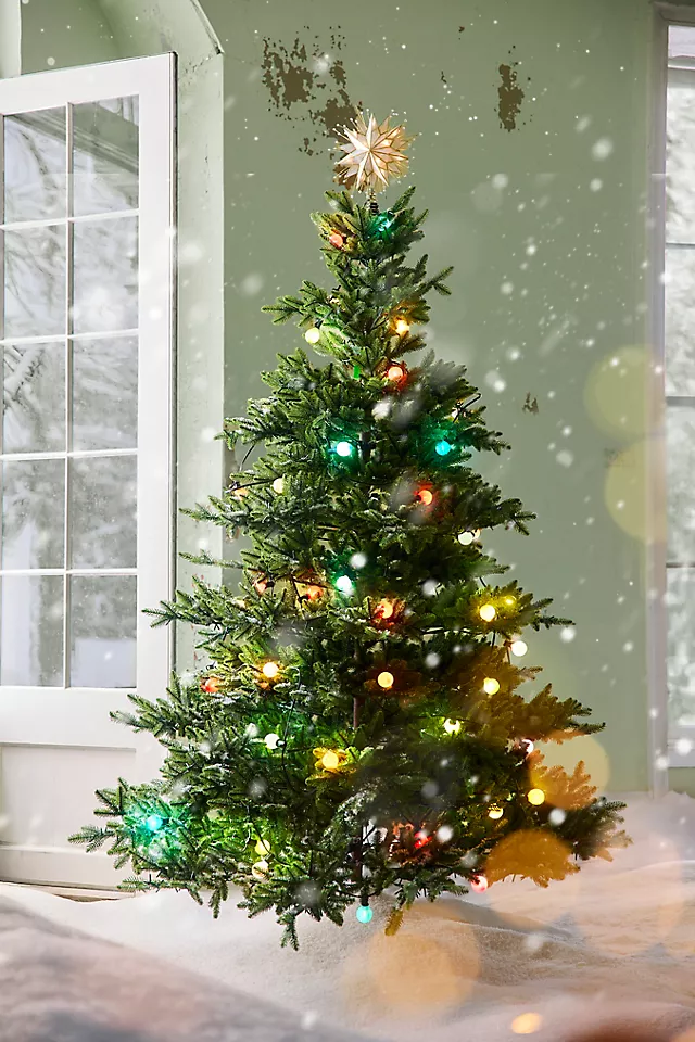 Pre-Lit Placuna Shell Star Tree Topper