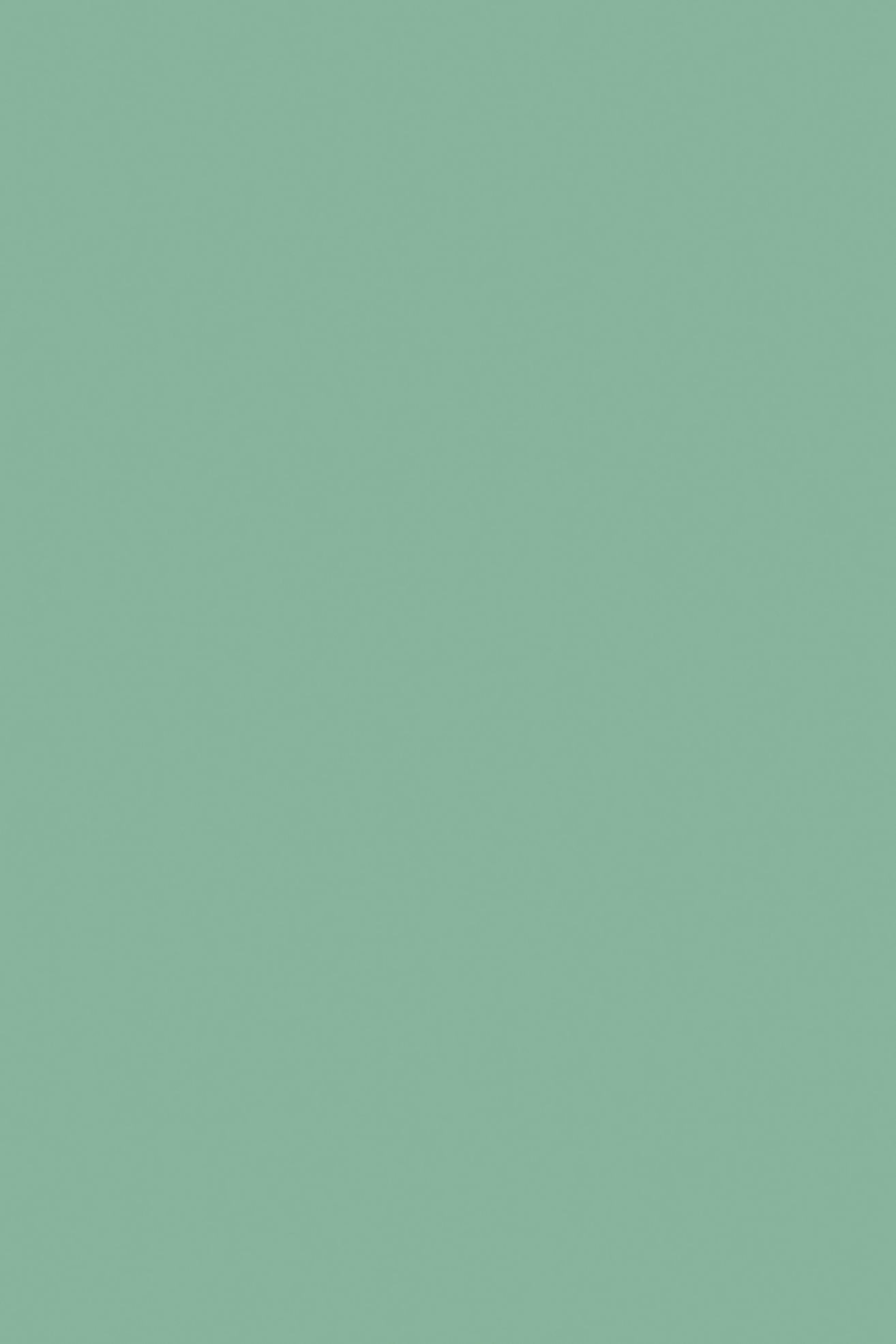 Arsenic No.214 - 1 Gallon