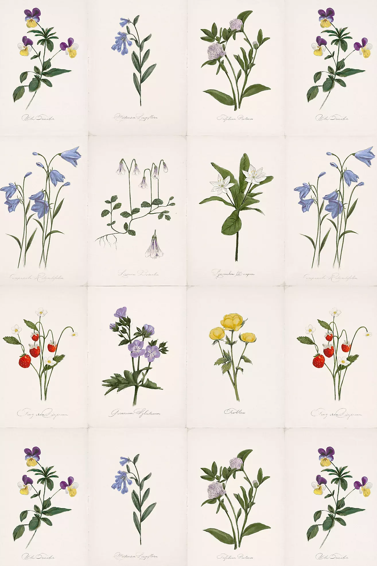 Liselott Floral Wallpaper by Sarah Jessica Parker