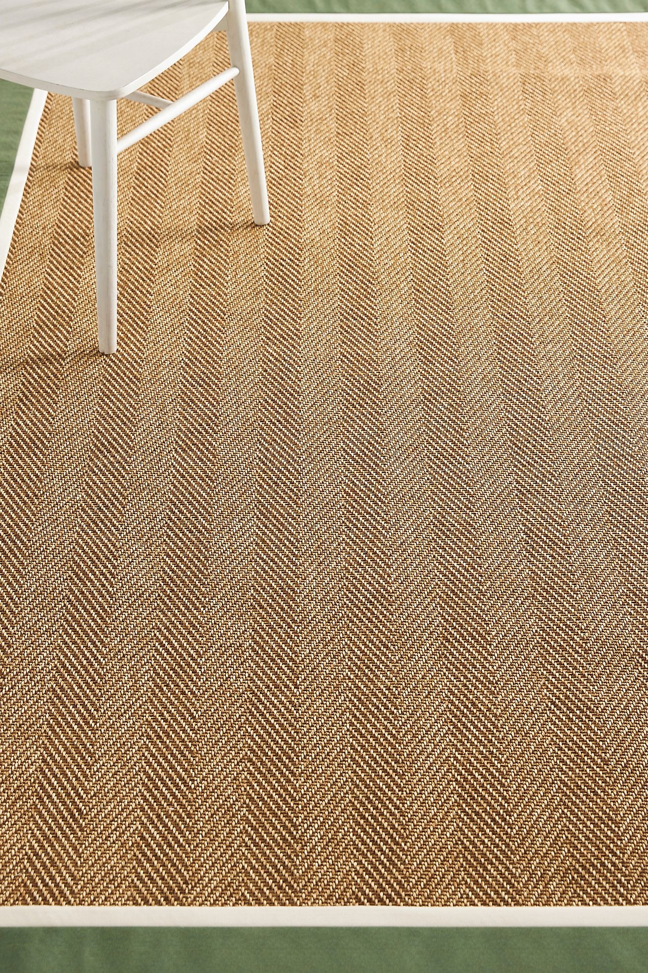 Flatwoven Double Border Performance Rug