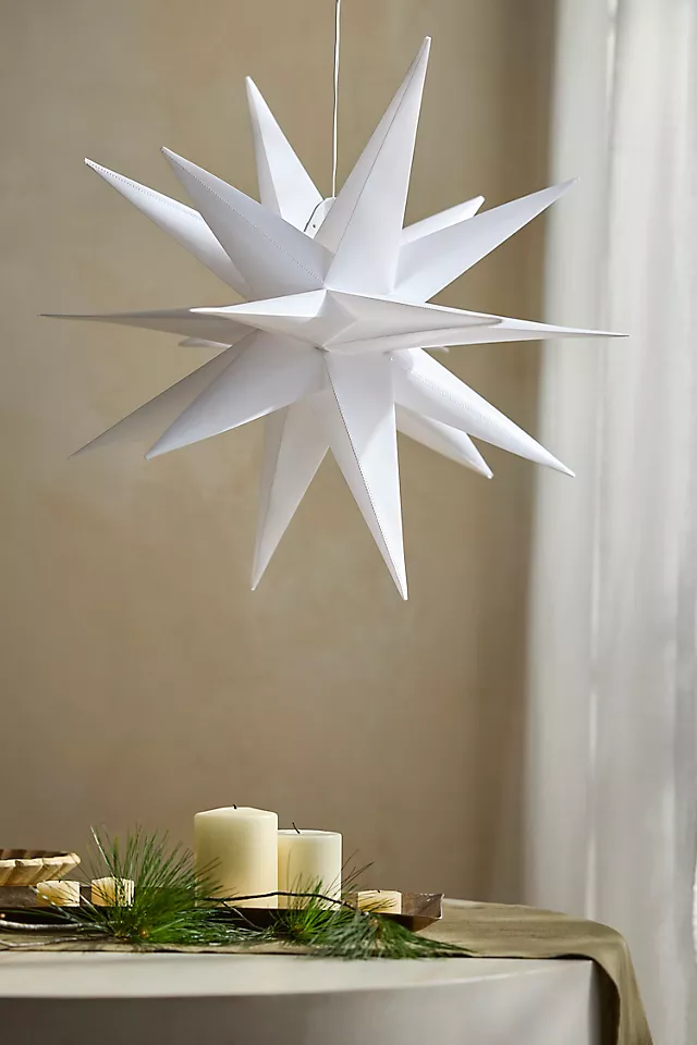 Stargazer Moravian Star Pendant Light