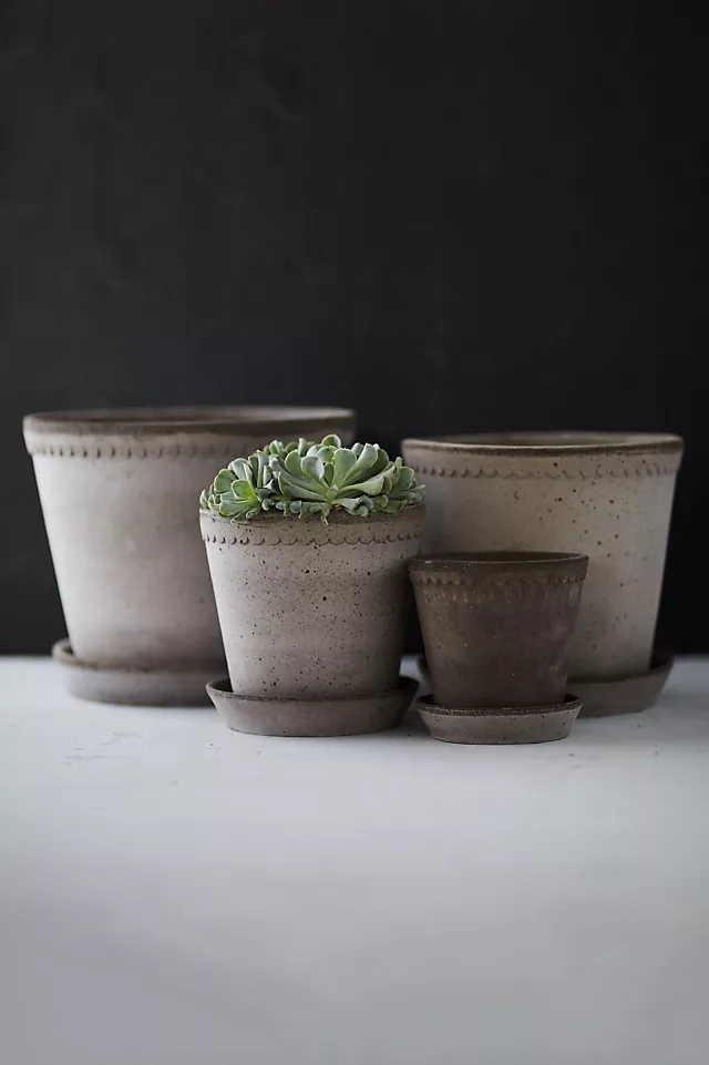 Bergs Helena Terracotta Pot + Saucer Set