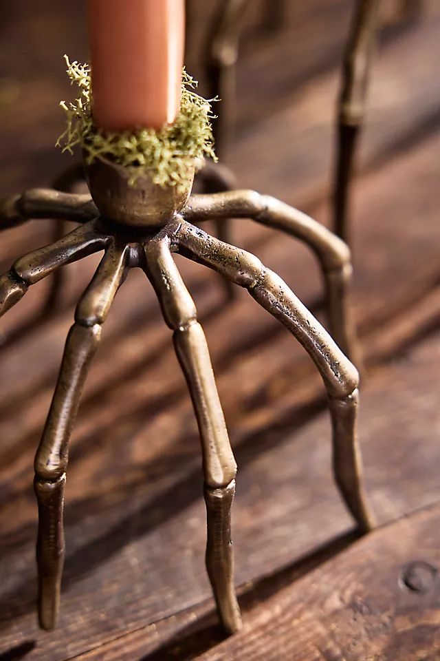 Bronze Spider Taper Holder