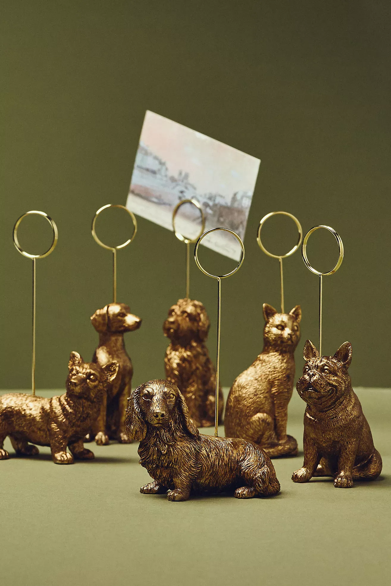 Animal Icon Photo Holder: Dog Edition