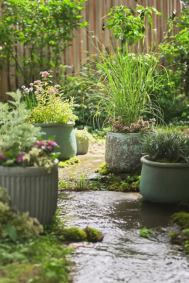 Barnacle Lucy Planter