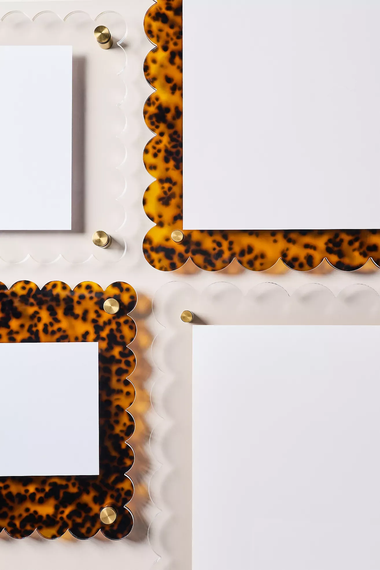 Tart by Taylor Scallop Acrylic Gallery Frame