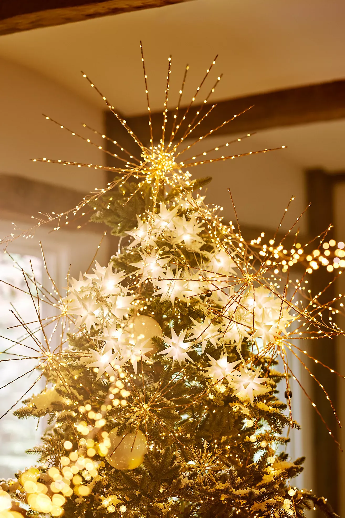 Stargazer Moravian Star String Lights