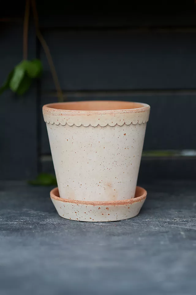 Bergs Helena Terracotta Pot + Saucer Set